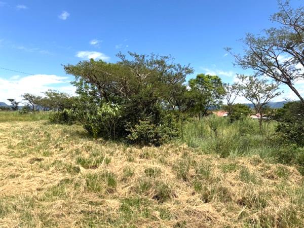 Property in Albert Falls, New Hanover