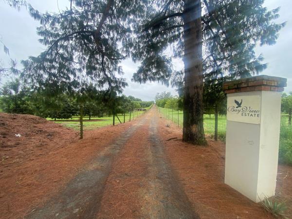 Property in Albert Falls, New Hanover