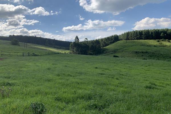 Vacant Land