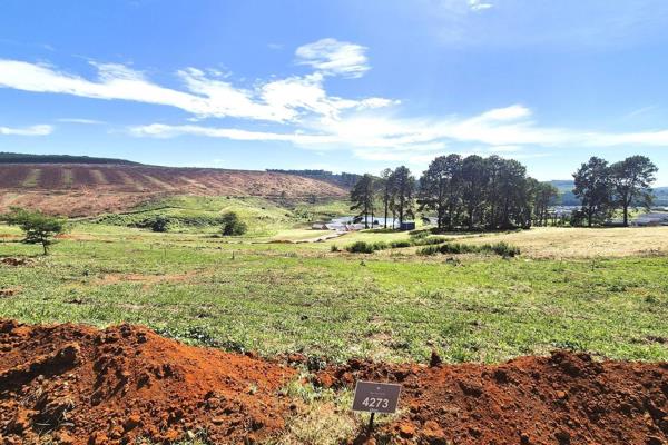 Vacant Land