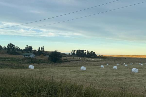 Farm