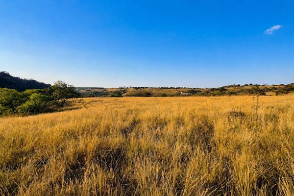 Vacant Land